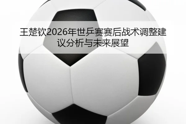 王楚钦2026年世乒赛赛后战术调整建议分析与未来展望